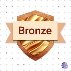 Audit & Fix Bronze Package